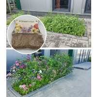 Read green gardener Reviews